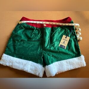 Chubbies Green and Red “The Elfs” Shorts, 5.5in inseam